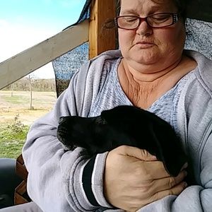 Meet your Posher, Ellen